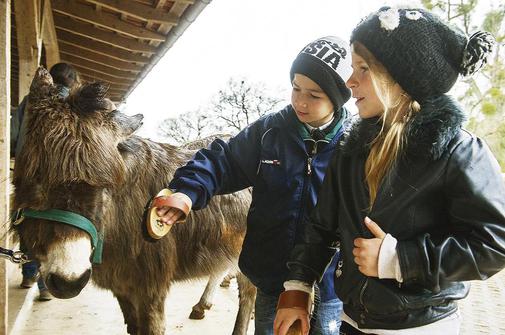 Streicheleinheiten für Tier und Seele – Flüchtlingskinder besuchen Gut Herbigshagen